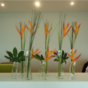 Décor floral design&floral abonnement floral entreprise Mazars Bezannes