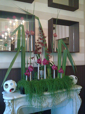 abonnement floral reims restaurant côté cuisine Bd Foch Design & floral décoration de restaurant fleuriste
